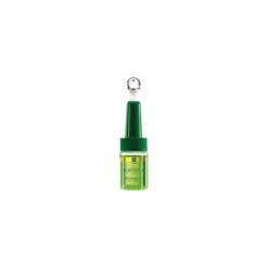 Routine Antichute Progressive René Furterer 10 Routine Antichute Progressive René Furterer -Capillaires Produits Magasin Serum Antichute Triphasic Rene Furterer X16 boite zoom 98476.1686210042