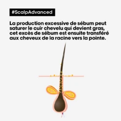 Shampooing Dermo-Purifiant Anti Gras Scalp Advanced L'Oréal 500ml -Capillaires Produits Magasin scalp advanced anti gras se bum 13592.1684847787